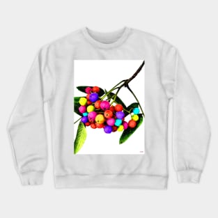 Rowan Berries Crewneck Sweatshirt